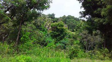 Gambar 4 Beautiful Land suitable for agrobusiness and villa