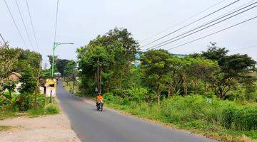 Gambar 3 Lahan Kemisik, Pandaan Pasuruan. Jawa Timur 