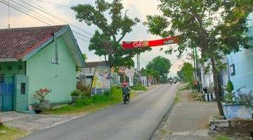 Gambar 5 Lahan Kemisik, Pandaan Pasuruan. Jawa Timur 