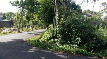 Gambar 4 Dijual Lokasi Tanah Di Renon, Jl. Dewi Madri, Kota Denpasar Bali