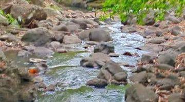 Gambar 4 Tanah Cantik Los Sungai di Tabanan