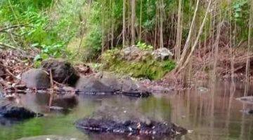 Gambar 5 Tanah Cantik Los Sungai di Tabanan