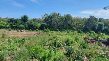 Gambar 1 Premium / Tanah Kavling view Laut Dekat Pantai Bingin