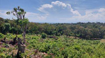 Gambar 2 Premium / Tanah Kavling view Laut Dekat Pantai Bingin