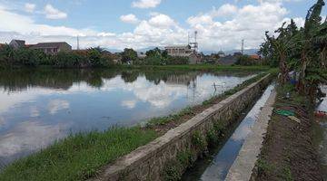 Gambar 5 Tanah Dalam Komplek Banyu Biru Ciwastra Bandung