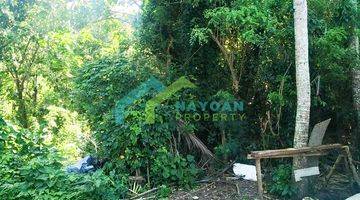 Gambar 2 LAND FOR SALE 30 ARE AT PECATU, VILLA AREA , 300 JUTA/ARE 