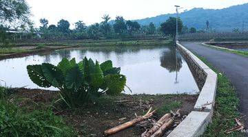 Gambar 1  Tambak Ikan/Sawah,murah murah!!Cibungbulang Bogor