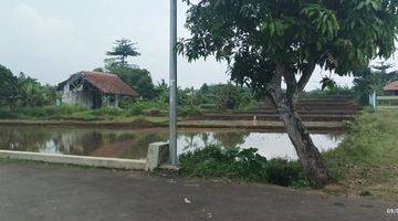 Gambar 2  Tambak Ikan/Sawah,murah murah!!Cibungbulang Bogor