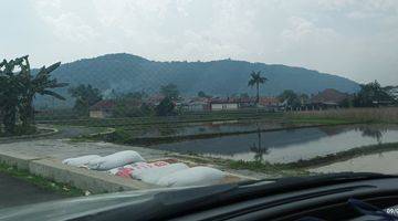 Gambar 3  Tambak Ikan/Sawah,murah murah!!Cibungbulang Bogor