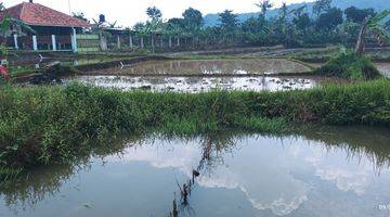 Gambar 5  Tambak Ikan/Sawah,murah murah!!Cibungbulang Bogor