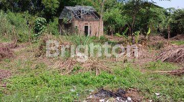 Gambar 5 MURAH HARGA TERJUN TANAH + BANGUNAN NOL RAYA TRAWAS LEBAKSONO PUNGGING MOJOSARI, LOKASI STRATEGIS RAMAI DEKAT LOKASI INDUSTRI