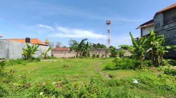 Gambar 1 STRATEGIC LOCATION FREEHOLD LAND  IN LOVINA