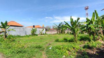 Gambar 3 STRATEGIC LOCATION FREEHOLD LAND  IN LOVINA