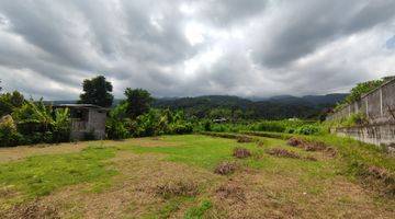 Gambar 2 940 SQM FREEHOLD LAND IN LOVINA