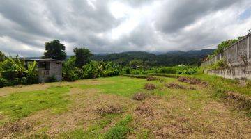 Gambar 3 940 SQM FREEHOLD LAND IN LOVINA