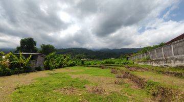 Gambar 4 940 SQM FREEHOLD LAND IN LOVINA