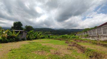 Gambar 5 940 SQM FREEHOLD LAND IN LOVINA