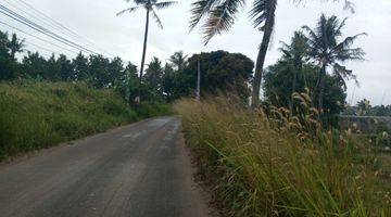 Gambar 5 Tanah Lingkar Selatan Km 4 Jalan Utama Zona Industri