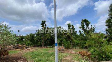 Gambar 1 LAND FOR LEASE 30 YEARS IN BALI