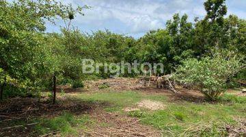 Gambar 4 LAND FOR LEASE 30 YEARS IN BALI