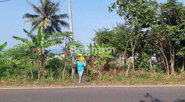 Gambar 2 TANAH MAINROAD RANCA BUAYA KAB. GARUT