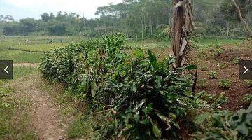 Gambar 1 Tanah 9000 Meter Di Jl. Cagak Subang Utk Perumahan Atau Berkebun