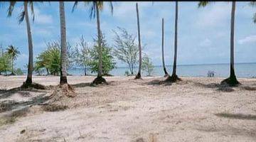 Gambar 1 Dijual Tanah Pariwisata Tepi Pantai Pulau Bintan Tanjung Pinang