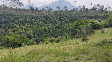 Gambar 1 Tanah 3 hektar di pangalengan pemandangan situ/danau cileunca