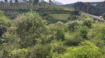 Gambar 4 Tanah 3 hektar di pangalengan pemandangan situ/danau cileunca