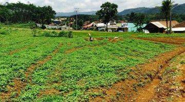 Gambar 1 Perkebunan Jampang Tengah Sukabumi Selatan