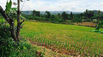 Gambar 3 Perkebunan Jampang Tengah Sukabumi Selatan