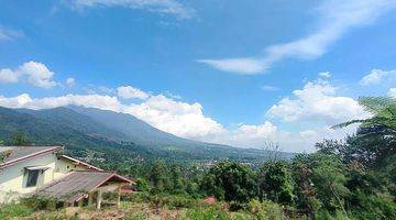 Gambar 1 ciawi puncak bogor