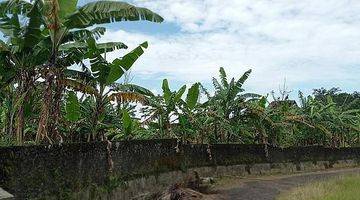 Gambar 1 Tanah Luas di Bukit Trawas Garden