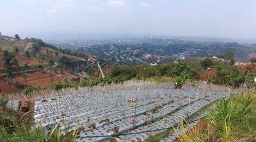 Gambar 1 Tanah Dago atas dekat Dago Resor , BEST VIEW Kota Bandung