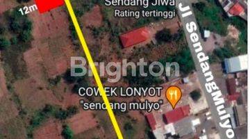 Gambar 4 Tanah Pinggir Jalan Elang Raya Tembalang 