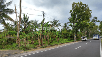 Gambar 1 TANAH KEBUN DI PINGGIR JALAN UTAMA PUPUAN