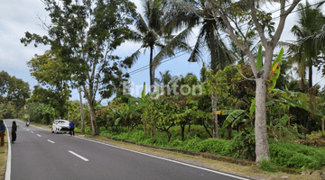 Gambar 2 TANAH KEBUN DI PINGGIR JALAN UTAMA PUPUAN