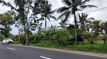 Gambar 3 TANAH KEBUN DI PINGGIR JALAN UTAMA PUPUAN