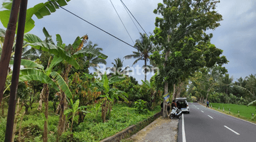 Gambar 4 TANAH KEBUN DI PINGGIR JALAN UTAMA PUPUAN