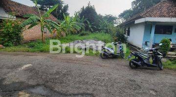 Gambar 2 tanah kampung ngantong  -/+ 3000 m2 SHM, cocok untuk Investasi