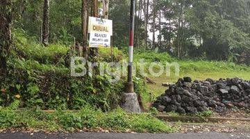 Gambar 1 TANAH MURAH PINGGIR JALAN UTAMA DI KAB KARANGASEM