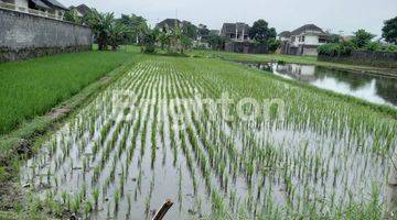 Gambar 2 TANAH BERUPA SAWAH BELAKANG UNIVERSITY HOTEL