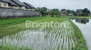 Gambar 3 TANAH BERUPA SAWAH BELAKANG UNIVERSITY HOTEL