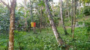 Gambar 1 Land For Leasehold In Bajera Tabanan Close To Soka Beach Raya Denpasar Gilimanuk Road