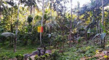 Gambar 2 Land For Leasehold In Bajera Tabanan Close To Soka Beach Raya Denpasar Gilimanuk Road