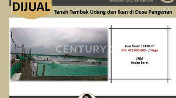 Gambar 4 Lahan Tambak Udang & Ikan Di Pangenan