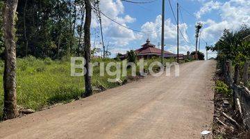 Gambar 3 di  tanah di bawah pasaran di tanjung barangan