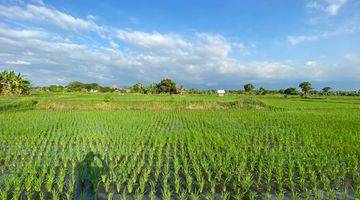 Gambar 2 BEACH FRONT LAND LOCATED IN SINGARAJA CITY SIDE