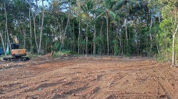 Gambar 1 Barat Pasar Godean View Sawah Nyaman Hunian