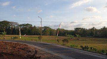 Gambar 2 Barat Pasar Godean: View Sawah Hijau